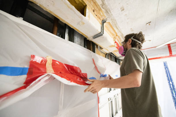 Environmental Consulting for Mold Prevention in Cohoe, AK