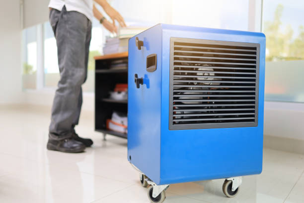 Best Airborne Mold Testing  in Cohoe, AK